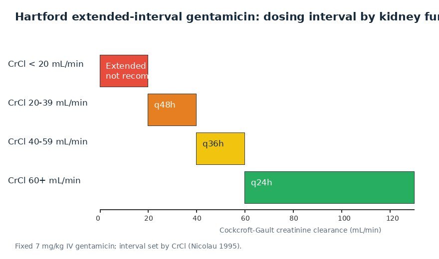 Gentamicin dosing calculator chart: Hartford extended-interval bands, q24h when creatinine clearance is 60 or above, q36h at 40 to 59, q48h at 20 to 39, not recommended below 20 mL/min