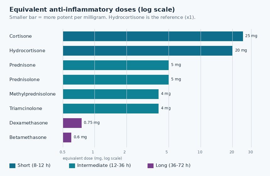 Steroid conversion calculator chart: equivalent anti-inflammatory doses of eight corticosteroids, from hydrocortisone 20 mg and cortisone 25 mg down through prednisone 5 mg to dexamethasone 0.75 mg and betamethasone 0.6 mg