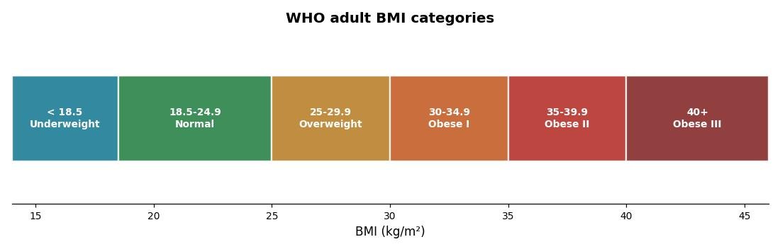 Chart of the six WHO BMI categories from underweight below 18.5 through normal weight, overweight, and obesity classes I, II and III at 40 and above