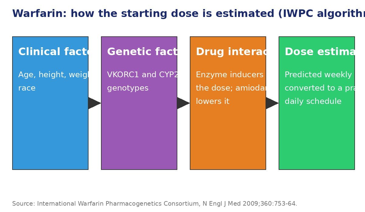 Warfarin dosing calculator chart: the four input groups of the IWPC algorithm, clinical factors, genetic factors, drug interactions, and the predicted dose estimate