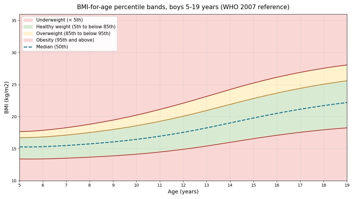 Child BMI percentile calculator chart: WHO 2007 BMI-for-age percentile bands for boys aged 5 to 19 years, showing the underweight, healthy weight, overweight and obesity zones