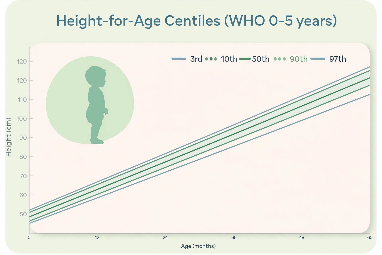 Height-for-age centile chart for the WHO 0 to 5 years growth standards, showing the 3rd, 10th, 50th, 90th and 97th centile curves