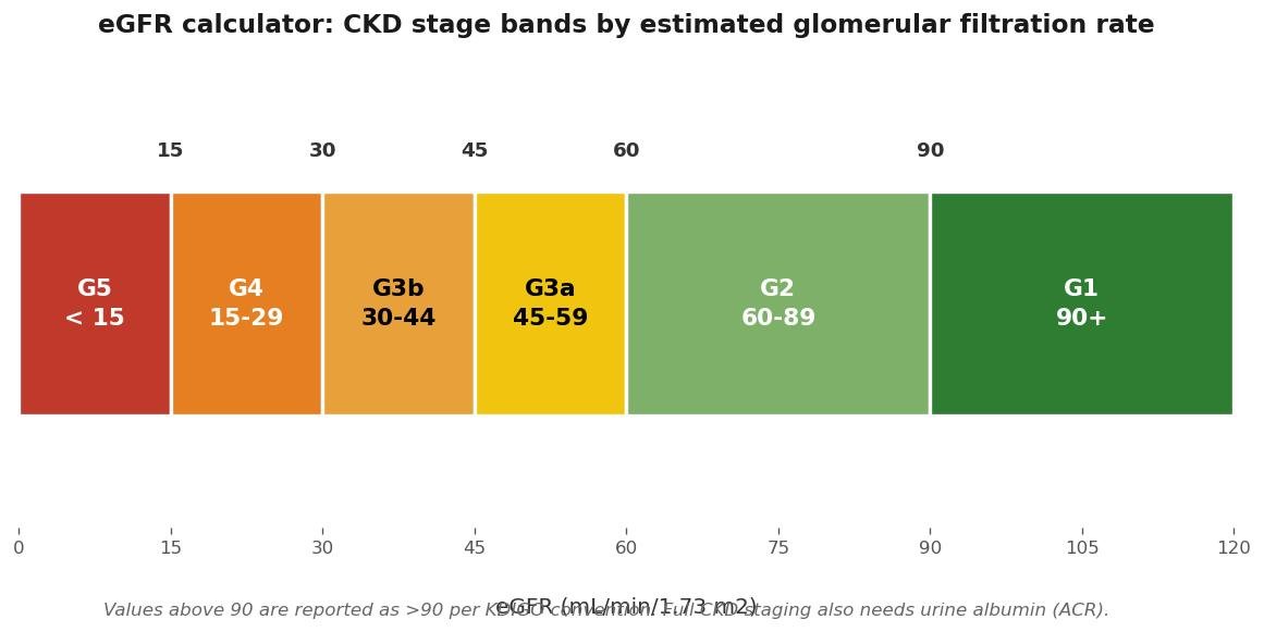 eGFR calculator chart showing the CKD stage bands: G1 at 90 and above, G2 from 60 to 89, G3a from 45 to 59, G3b from 30 to 44, G4 from 15 to 29, and G5 below 15 mL/min/1.73 m2