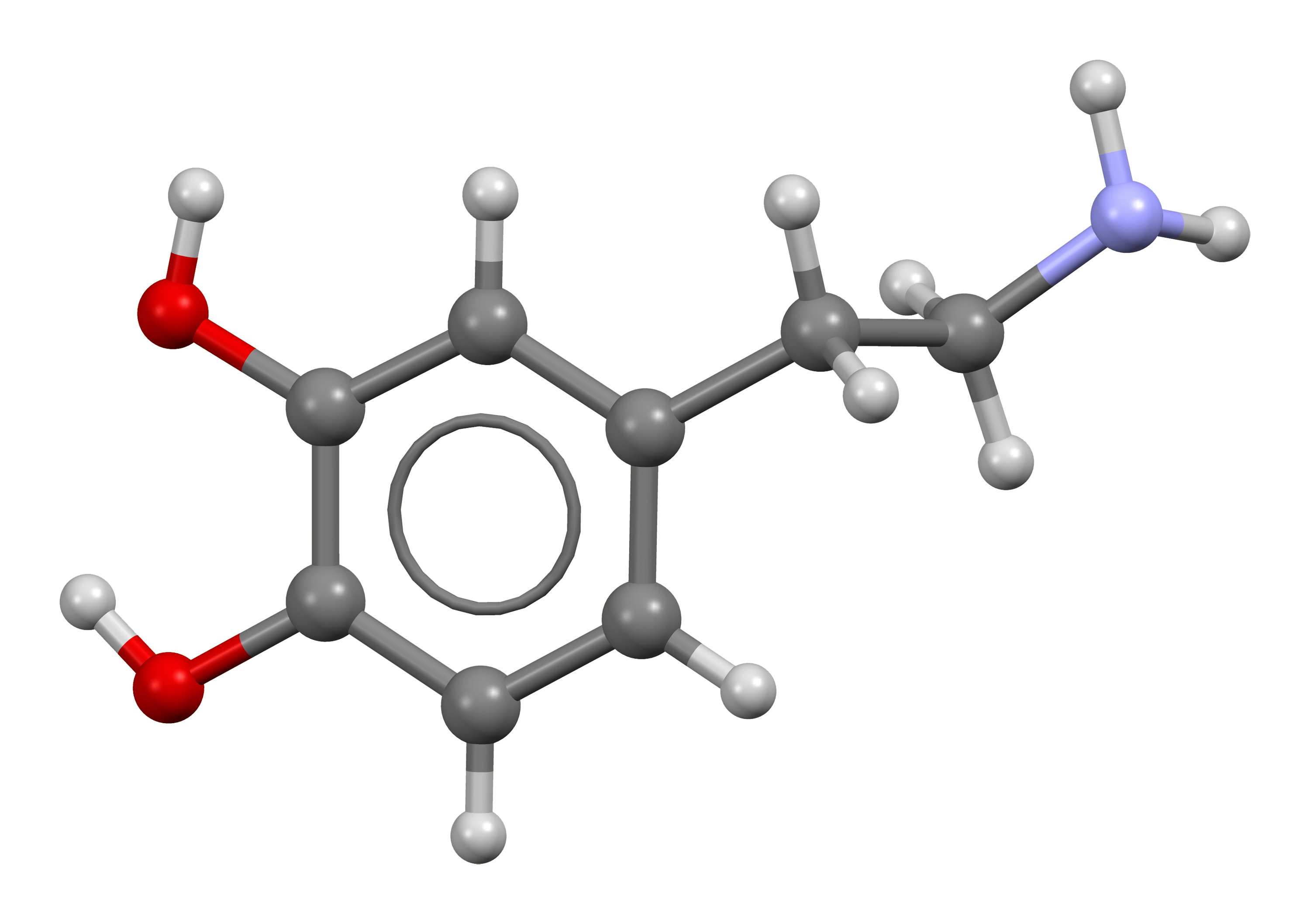 Read more about the article Dopamine Dose Calculator