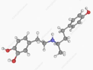 Read more about the article Dobutamine Dose Calculator