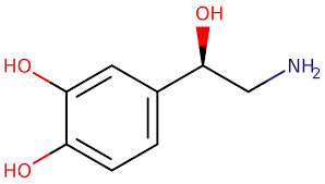 Read more about the article Levophed (NorAdrenaline) Dose Calculator