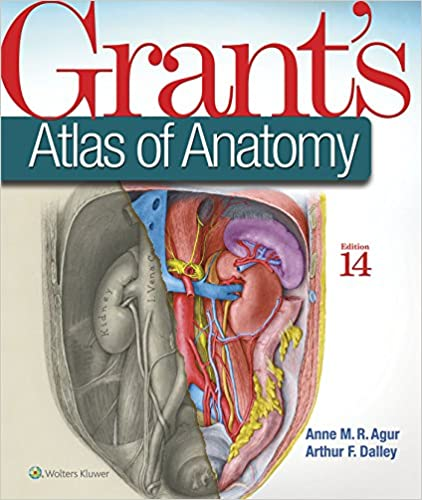 Read more about the article Review of Grant’s Atlas of Anatomy, 14th Edition