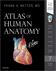 Read more about the article A Comprehensive Review of the “Netter Atlas of Human Anatomy, 7th Edition”