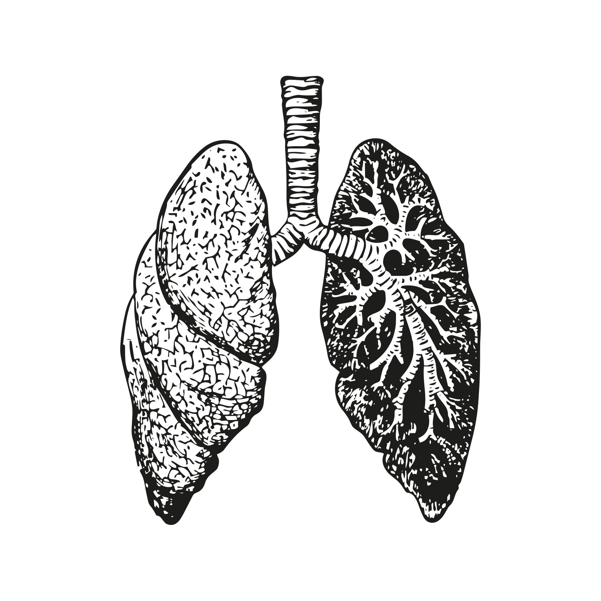 Read more about the article Mastering Basic Lung Sounds: A Comprehensive Guide for Medical Students