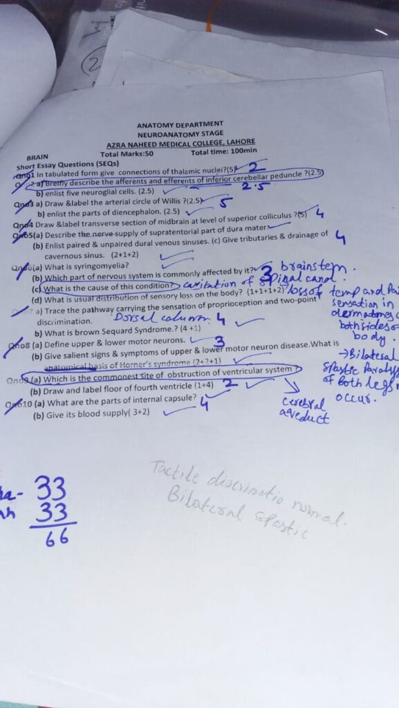 Neuroanatomy