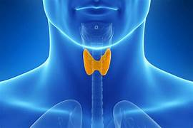 Read more about the article Primary Hypothyroidism – Case Study