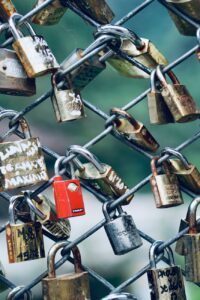 Read more about the article Unlocking Love: Pheromones, Affection, and the Tradition of Love Locks