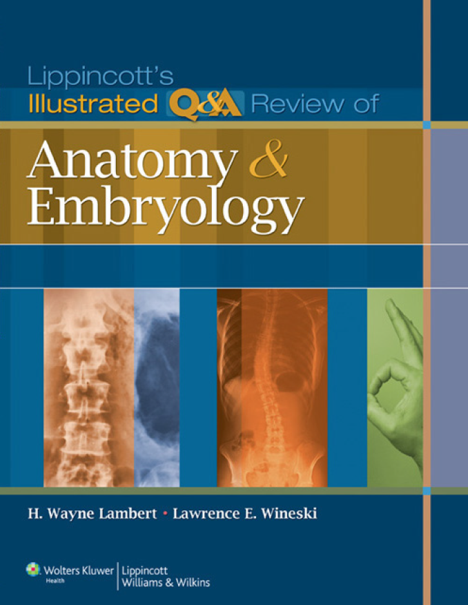 Read more about the article Lippincott’s Illustrated Q&A Review of Anatomy & Embryology