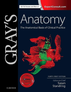 Read more about the article Gray’s Anatomy, 41st Edition