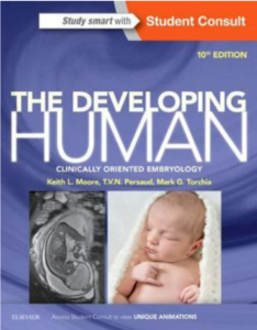 Read more about the article KLM Embryology 10ed