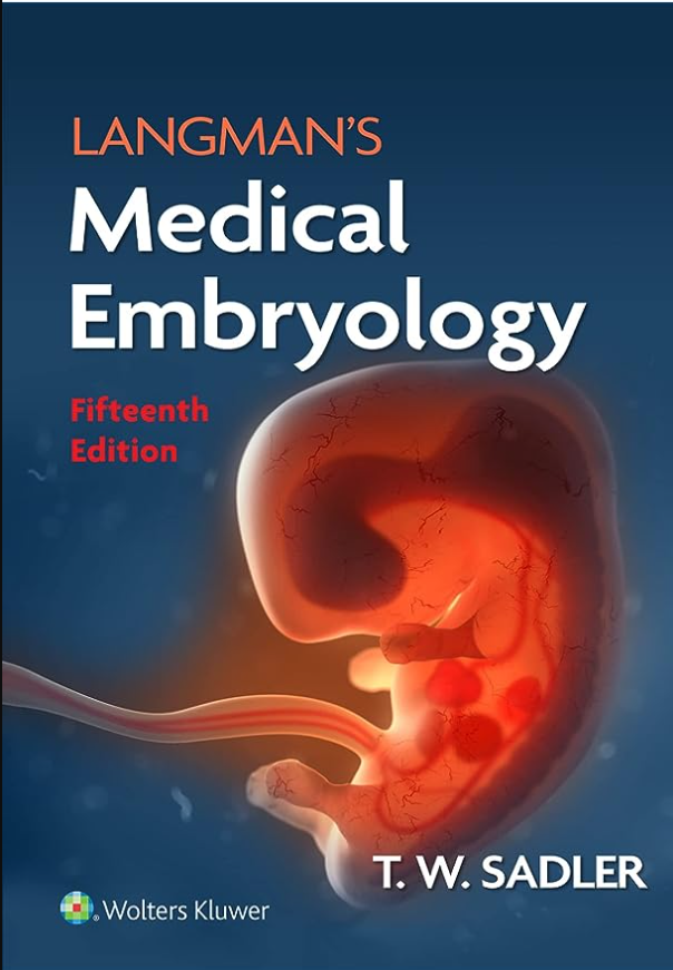 Read more about the article Langman’s Medical Embryology